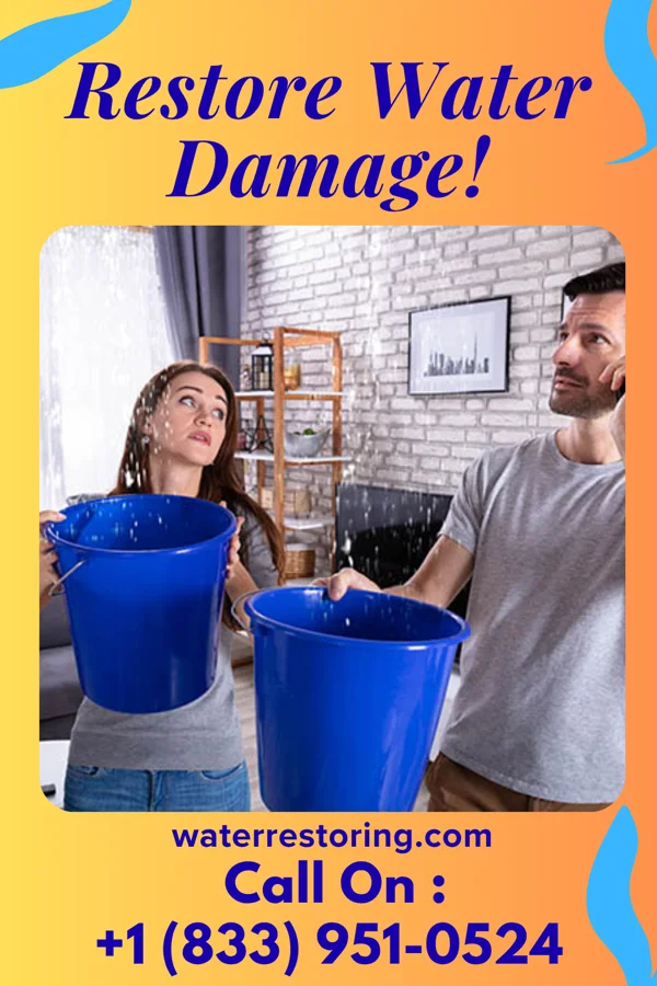water restoration Sterling Cleanup Network Chatsworth