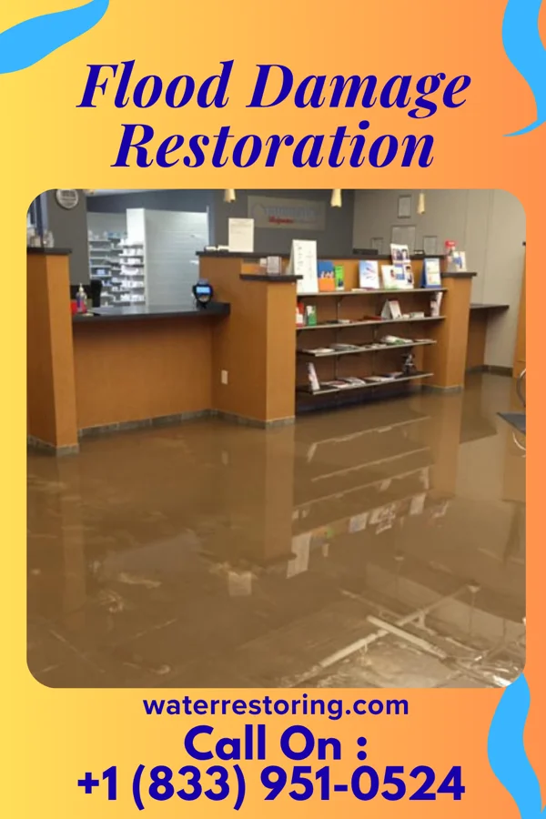 Flood Damage Restoration in Chatsworth, IL