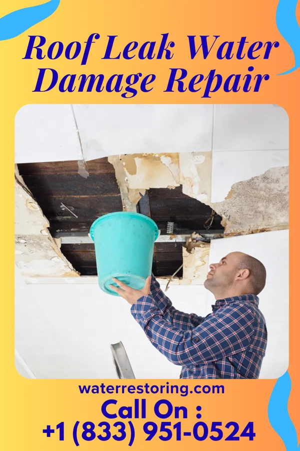 Roof Leak Water Damage Repair in Chatsworth, IL