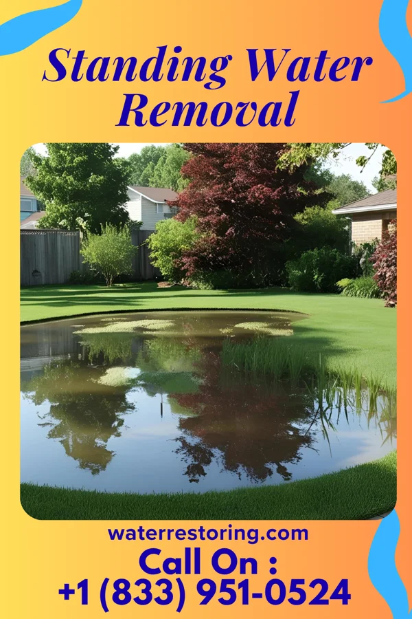 Standing Water Removal in Chatsworth, IL